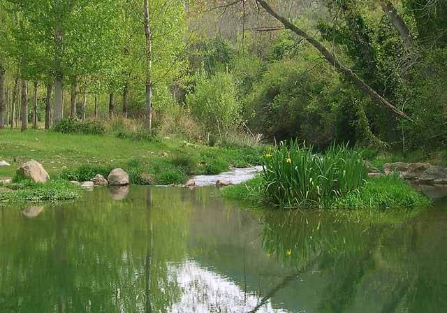 Corriente de agua y vegetación nativa del rio Palancia